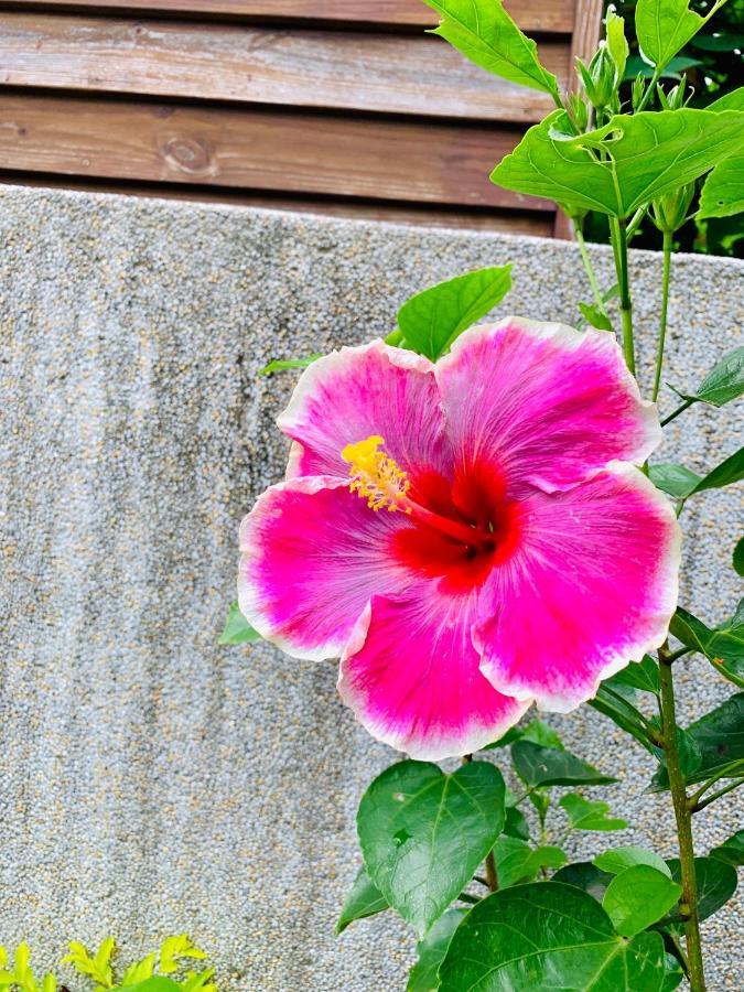 Jifun Flower Meanings Цзянь Экстерьер фото