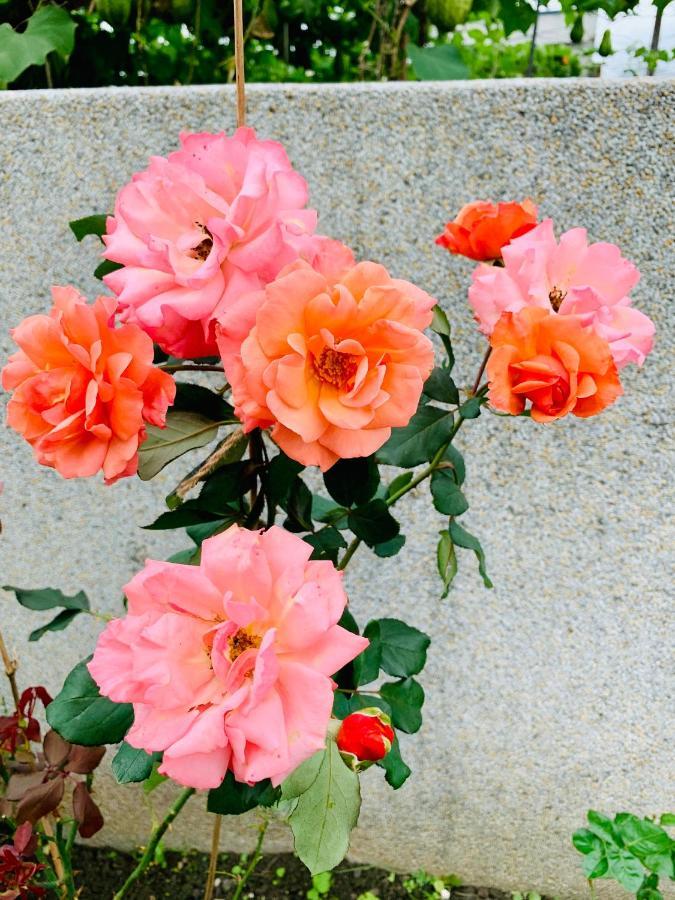 Jifun Flower Meanings Цзянь Экстерьер фото